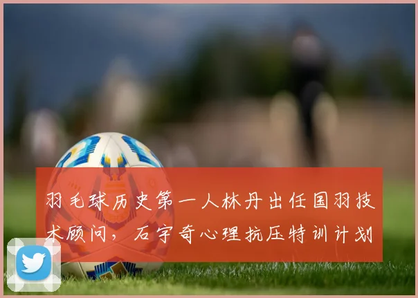 羽毛球历史第一人林丹出任国羽技术顾问，石宇奇心理抗压特训计划震撼公布