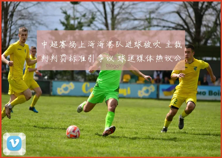 中超赛场上海海港队进球被吹 主裁判判罚标准引争议 球迷媒体热议公正